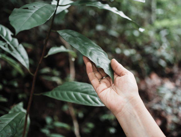 Feeling Anxious About (1)